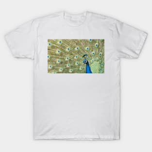 Peacock Display T-Shirt